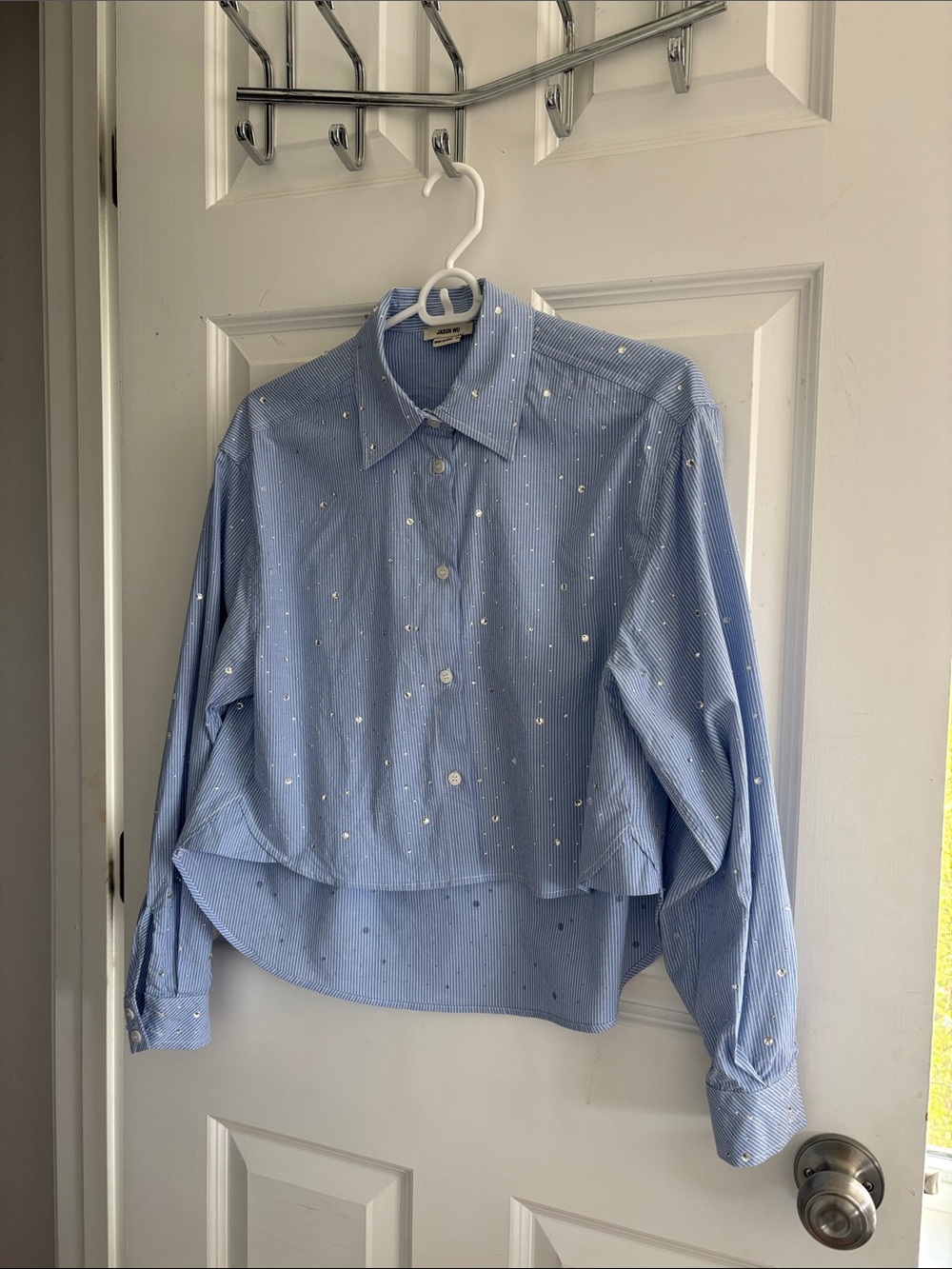 Jason Wu Light Blue Pinstripe Button-Up Blouse with Embellishments